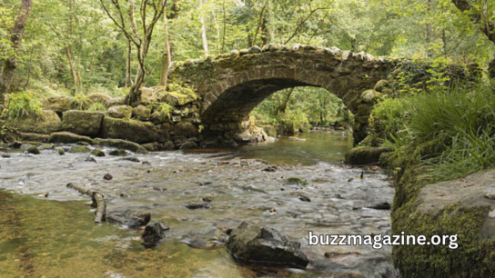 Healey Dell